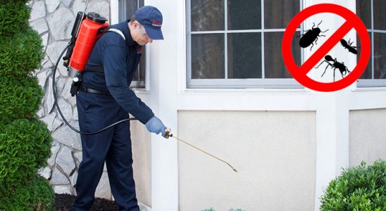 Hekimhan Kemirgen İlaçlama böcek ilaçlama ve haşere kontrolü — ilaclama-tr.com